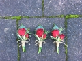 Red Buttonholes