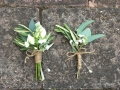 Rustic Buttonholes
