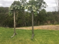 Ceremony arbour